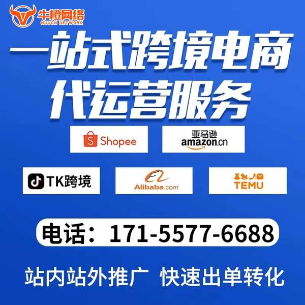 青州电商代运营
